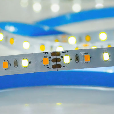 Προσαρμοσμένο CCT 12V24V 8mm 120leds 3000K-6500K Warm White-White SMD2835 Led Strip Light