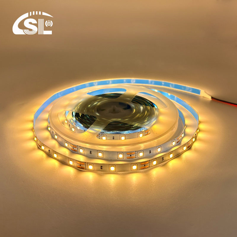 Ευέλικτο DC12V24V 8mm10mm 60leds 3000K Warm White Die-Board SMD2835 για φωτισμό ξενοδοχείων